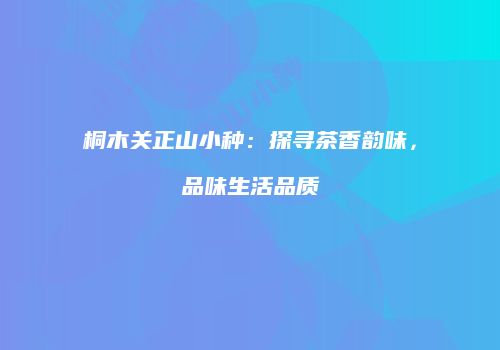 桐木关正山小种：探寻茶香韵味，品味生活品质