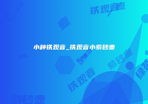 小种铁观音_铁观音小紫砂壶