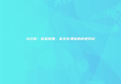大红袍：岩茶翘楚，茶文化瑰宝的历史印记