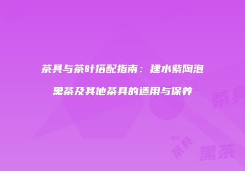 茶具与茶叶搭配指南：建水紫陶泡黑茶及其他茶具的适用与保养