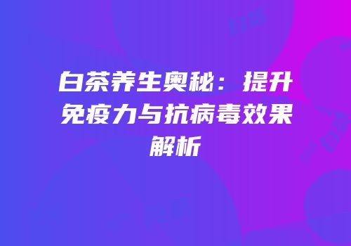 白茶养生奥秘：提升免疫力与抗病毒效果解析