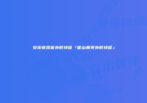 安溪铁观音外形特征「霍山黄芽外形特征」