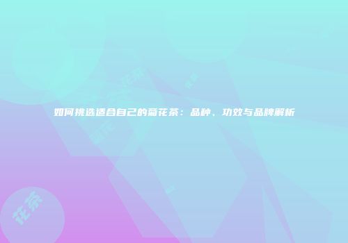 如何挑选适合自己的菊花茶：品种、功效与品牌解析