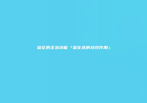 菊花的主治功能「菊花茶的功效作用」