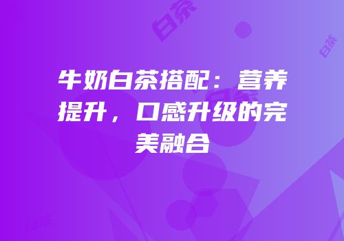 牛奶白茶搭配：营养提升，口感升级的完美融合