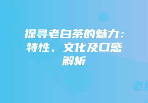 探寻老白茶的魅力：特性、文化及口感解析