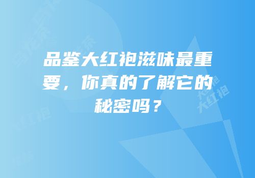 品鉴大红袍滋味最重要，你真的了解它的秘密吗？
