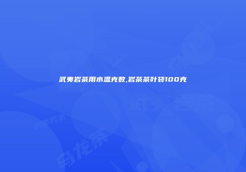 武夷岩茶用水温克数,岩茶茶叶袋100克