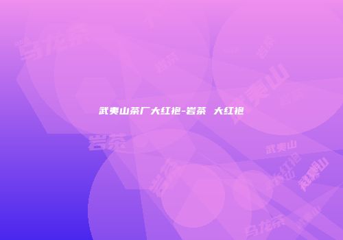 武夷山茶厂大红袍-岩茶 大红袍