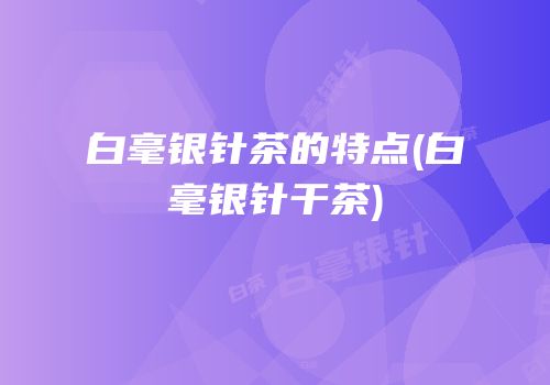白毫银针茶的特点(白毫银针干茶)