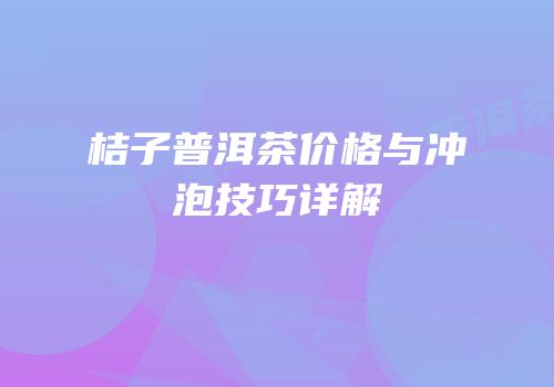 桔子普洱茶价格与冲泡技巧详解