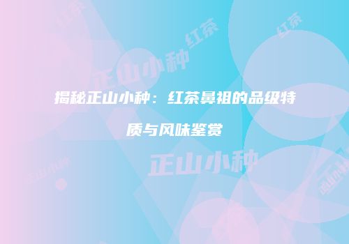 揭秘正山小种：红茶鼻祖的品级特质与风味鉴赏