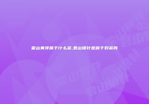 霍山黄芽属于什么茶,君山银针是属于好茶吗