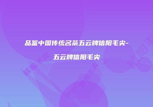 品鉴中国传统名茶五云牌信阳毛尖-五云牌信阳毛尖