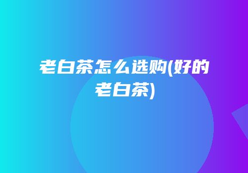 老白茶怎么选购(好的老白茶)