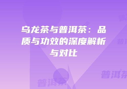 乌龙茶与普洱茶：品质与功效的深度解析与对比