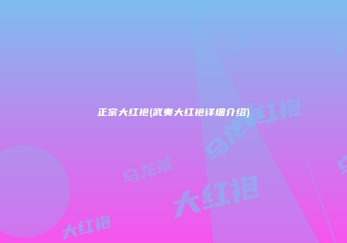 正宗大红袍(武夷大红袍详细介绍)