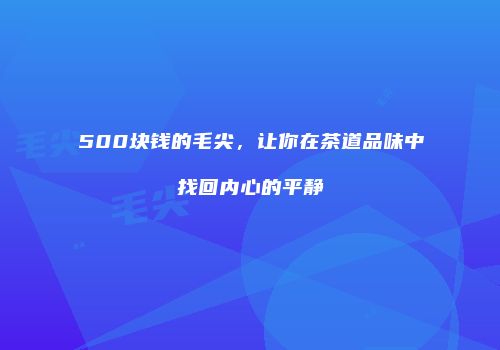 500块钱的毛尖，让你在茶道品味中找回内心的平静
