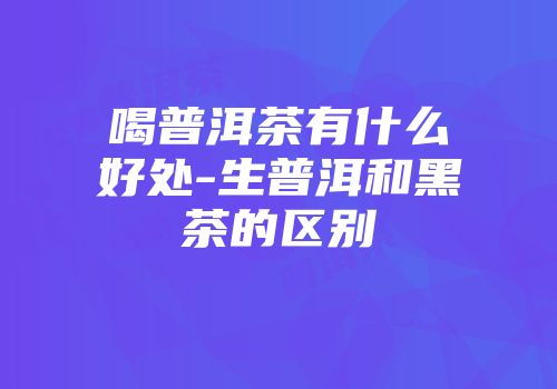 喝普洱茶有什么好处-生普洱和黑茶的区别