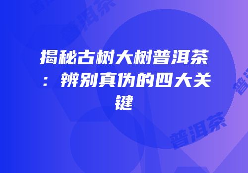 揭秘古树大树普洱茶：辨别真伪的四大关键