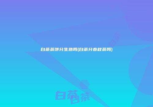 白茶茶饼分生熟吗(白茶分春秋茶吗)