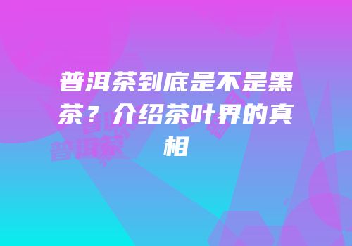 普洱茶到底是不是黑茶？介绍茶叶界的真相