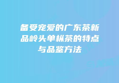 备受宠爱的广东茶新品岭头单枞茶的特点与品鉴方法