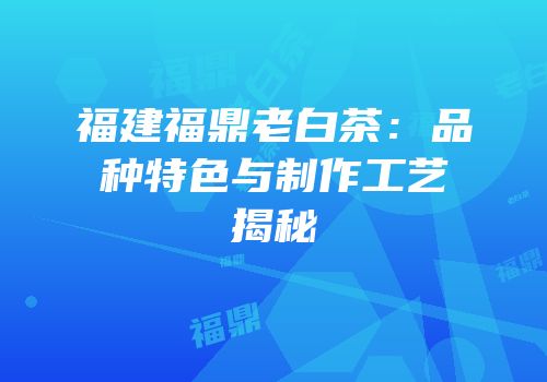 福建福鼎老白茶：品种特色与制作工艺揭秘