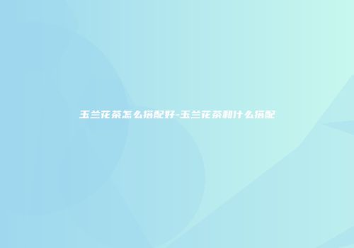 玉兰花茶怎么搭配好-玉兰花茶和什么搭配