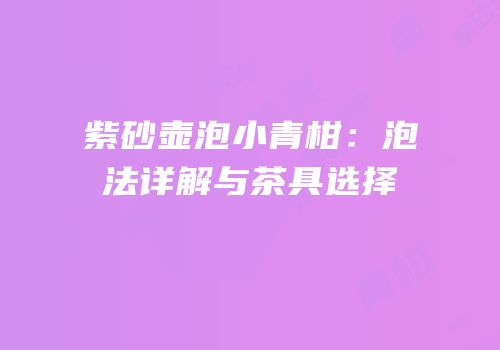 紫砂壶泡小青柑：泡法详解与茶具选择