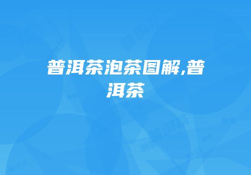 普洱茶泡茶图解,普洱茶