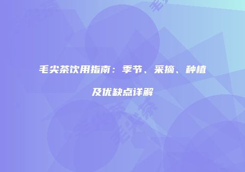 毛尖茶饮用指南：季节、采摘、种植及优缺点详解