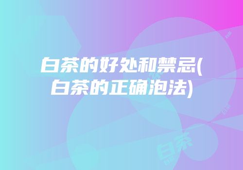 白茶的好处和禁忌(白茶的正确泡法)
