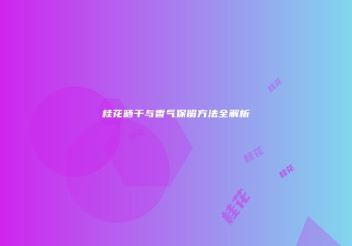 桂花晒干与香气保留方法全解析