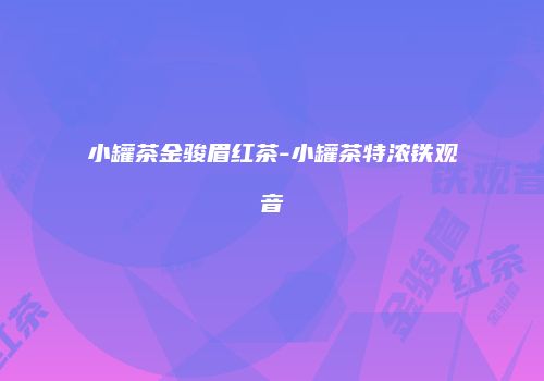 小罐茶金骏眉红茶-小罐茶特浓铁观音