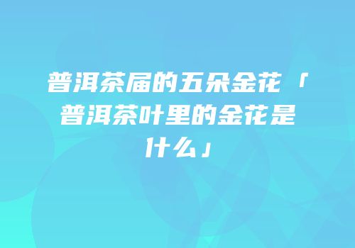 普洱茶届的五朵金花「普洱茶叶里的金花是什么」