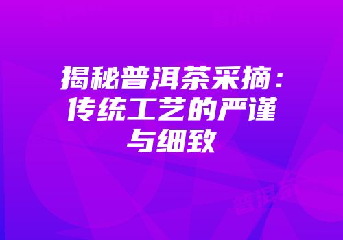 揭秘普洱茶采摘：传统工艺的严谨与细致