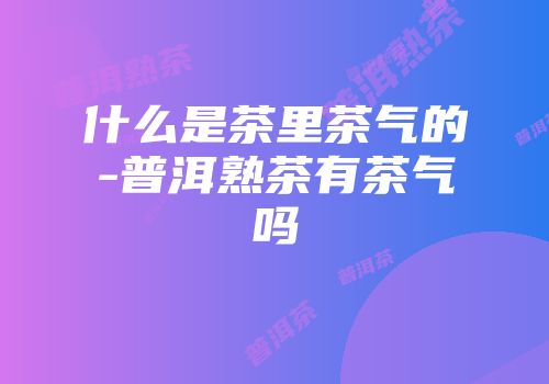 什么是茶里茶气的-普洱熟茶有茶气吗