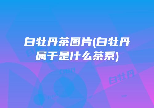 白牡丹茶图片(白牡丹属于是什么茶系)