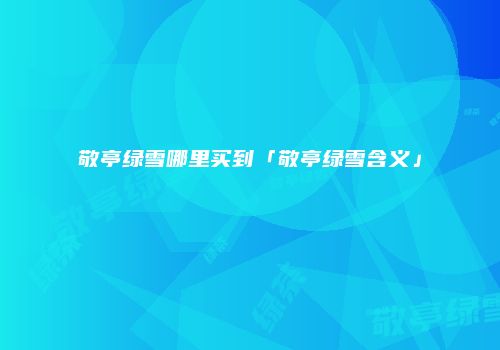 敬亭绿雪哪里买到「敬亭绿雪含义」