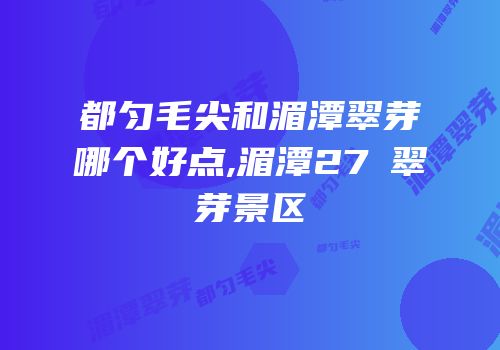 都匀毛尖和湄潭翠芽哪个好点,湄潭27℃翠芽景区
