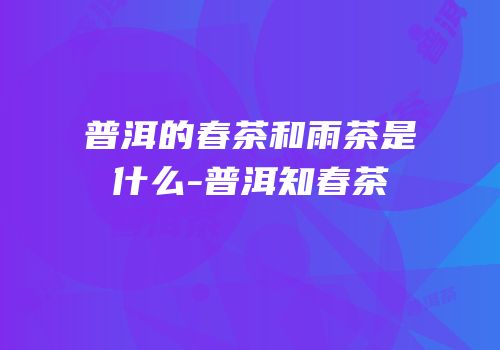 普洱的春茶和雨茶是什么-普洱知春茶
