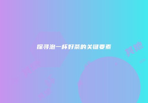 探寻泡一杯好茶的关键要素