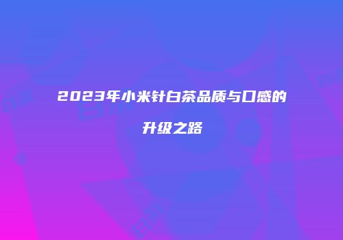 2023年小米针白茶品质与口感的升级之路