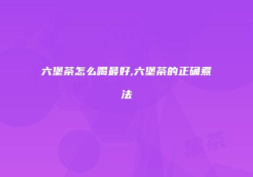 六堡茶怎么喝最好,六堡茶的正确煮法