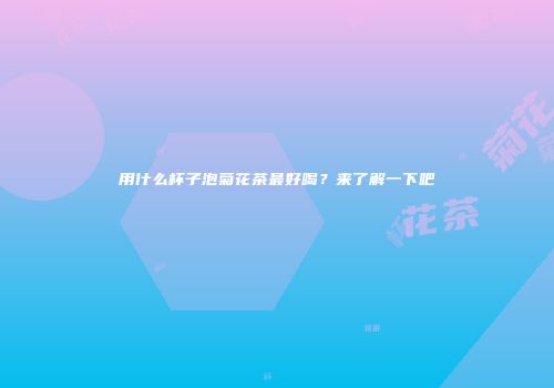 用什么杯子泡菊花茶最好喝？来了解一下吧