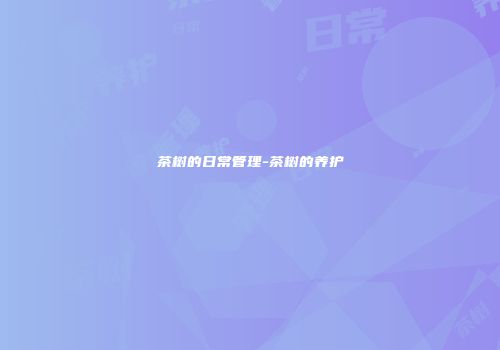 茶树的日常管理-茶树的养护