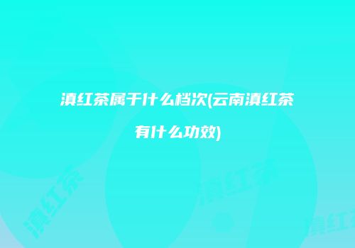 滇红茶属于什么档次(云南滇红茶有什么功效)