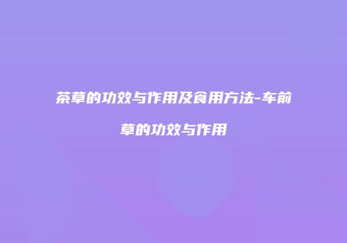 茶草的功效与作用及食用方法-车前草的功效与作用