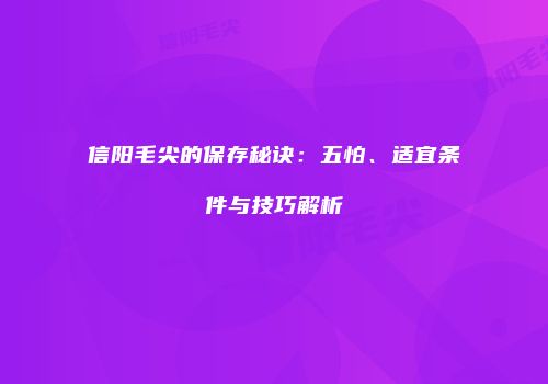 信阳毛尖的保存秘诀：五怕、适宜条件与技巧解析